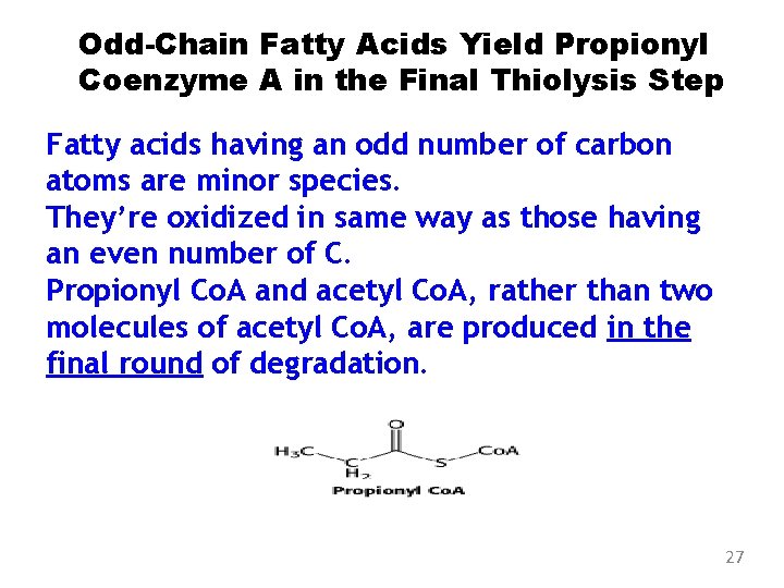 Odd-Chain Fatty Acids Yield Propionyl Coenzyme A in the Final Thiolysis Step Fatty acids