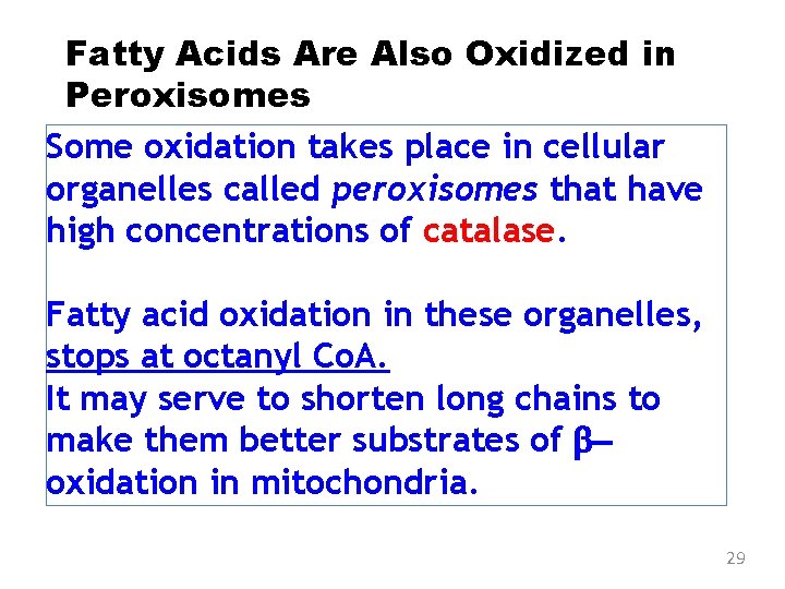 Fatty Acids Are Also Oxidized in Peroxisomes Some oxidation takes place in cellular organelles