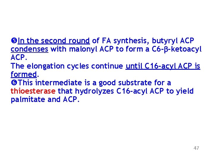  In the second round of FA synthesis, butyryl ACP condenses with malonyl ACP