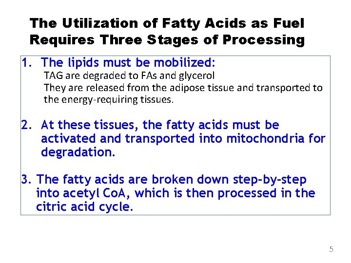 The Utilization of Fatty Acids as Fuel Requires Three Stages of Processing 1. The