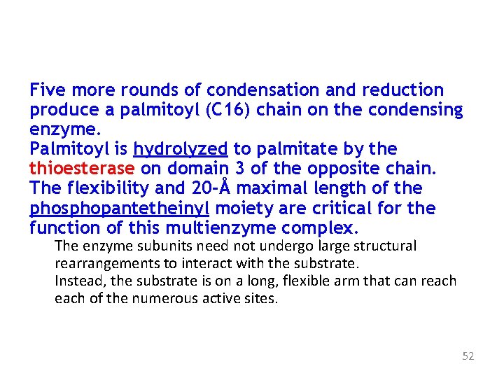 Five more rounds of condensation and reduction produce a palmitoyl (C 16) chain on