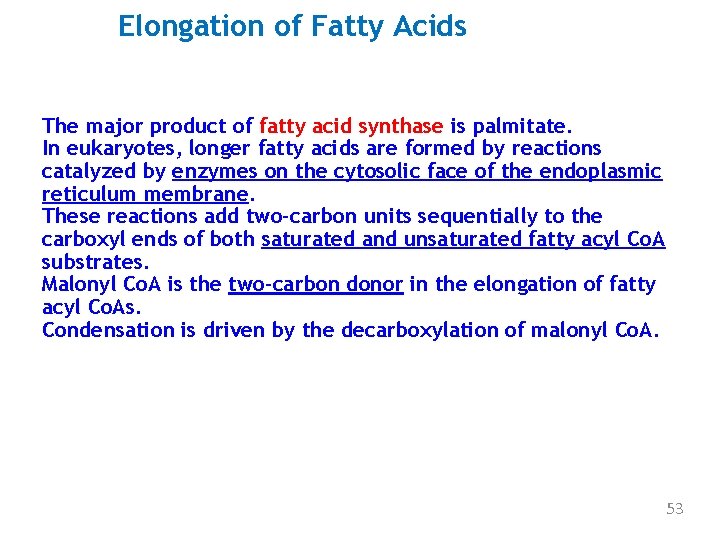 Elongation of Fatty Acids The major product of fatty acid synthase is palmitate. In