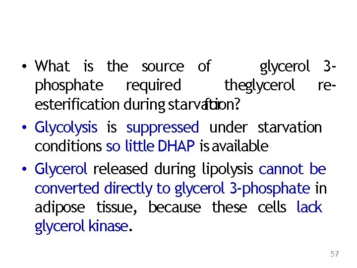  • What is the source of glycerol 3 phosphate required theglycerol reesterification during