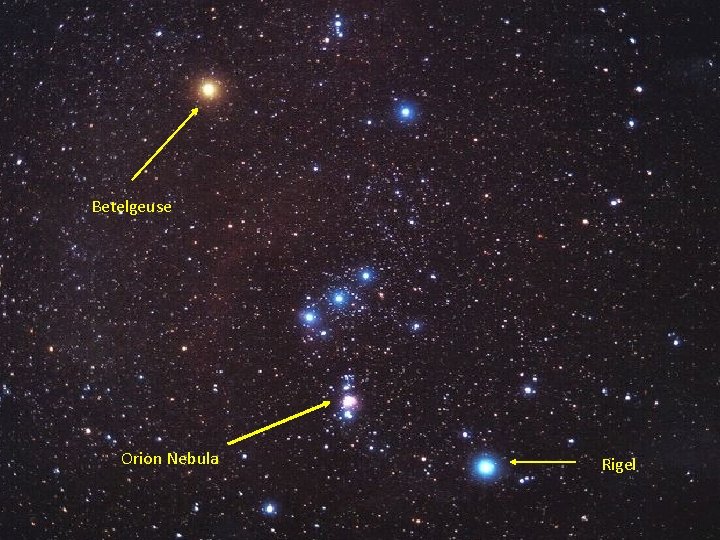 Betelgeuse Orion Nebula Rigel 