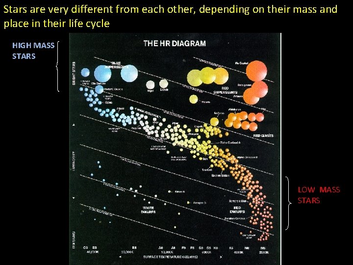 Stars are very different from each other, depending on their mass and place in
