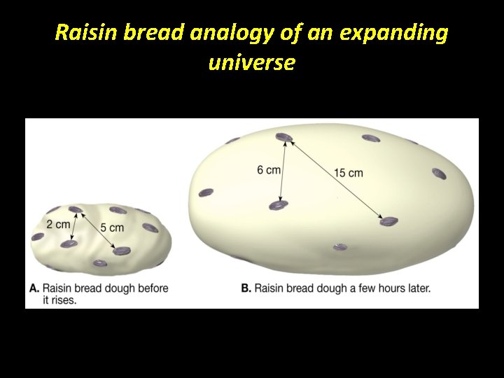 Raisin bread analogy of an expanding universe 