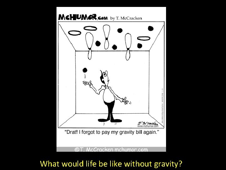 What would life be like without gravity? 