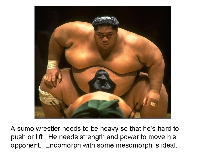 A sumo wrestler needs to be heavy so that he’s hard to push or