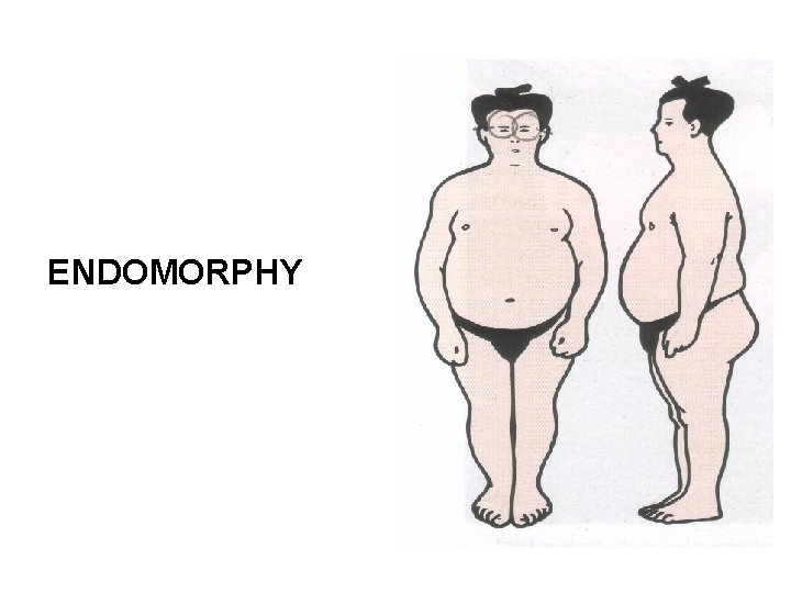 ENDOMORPHY 