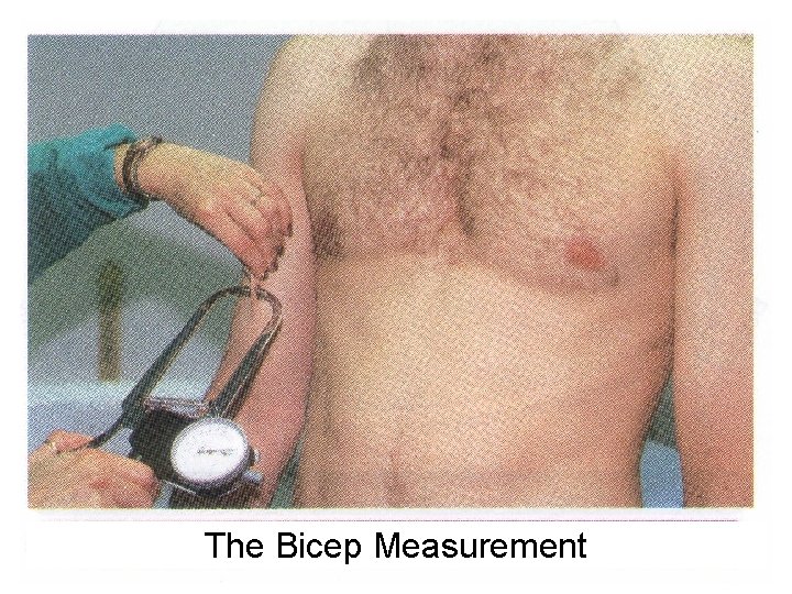 The Bicep Measurement 