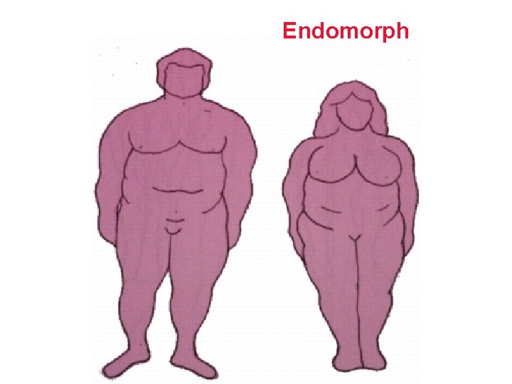 Endomorph 