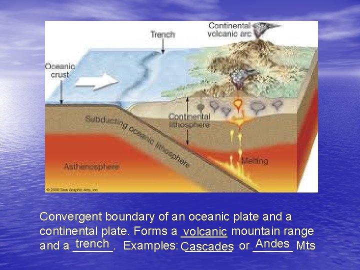 Convergent boundary of an oceanic plate and a continental plate. Forms a _______ volcanic Convergent boundary of an oceanic plate and a continental plate. Forms a _______ volcanic