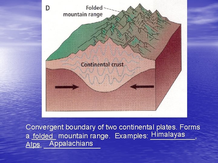 Convergent boundary of two continental plates. Forms Himalayas a ______ folded mountain range. Examples: