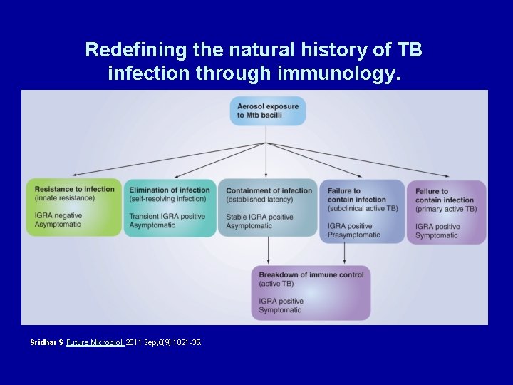 Redefining the natural history of TB infection through immunology. Sridhar S Future Microbiol. 2011