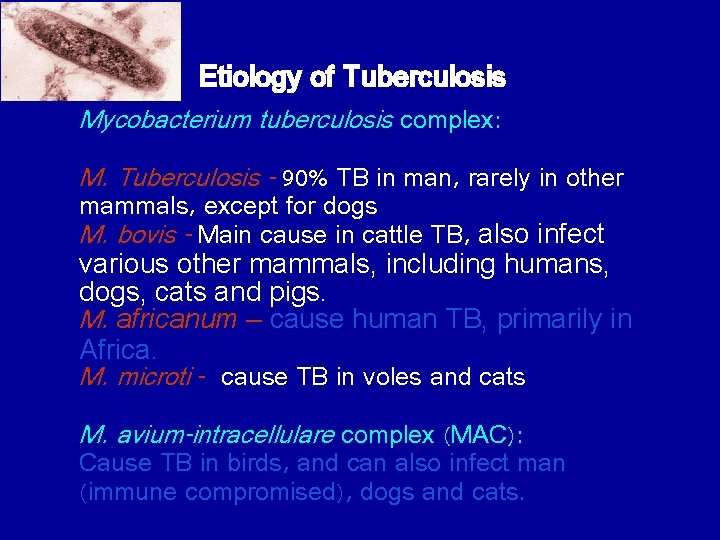 Etiology of Tuberculosis Mycobacterium tuberculosis complex: M. Tuberculosis - 90% TB in man, rarely