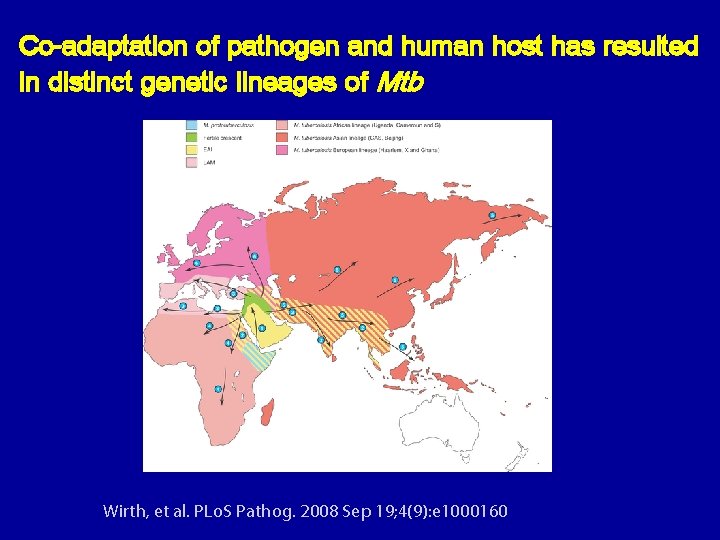 Co-adaptation of pathogen and human host has resulted in distinct genetic lineages of Mtb