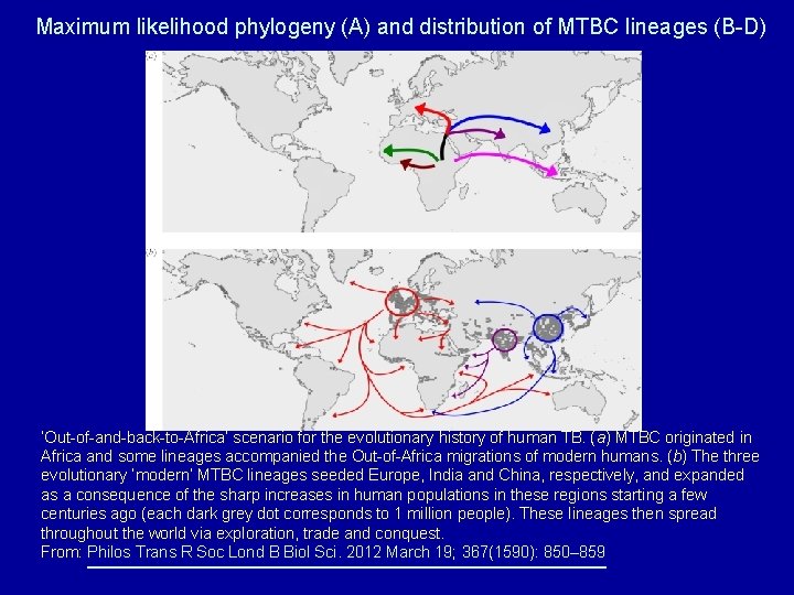 Maximum likelihood phylogeny (A) and distribution of MTBC lineages (B-D) ‘Out-of-and-back-to-Africa’ scenario for the