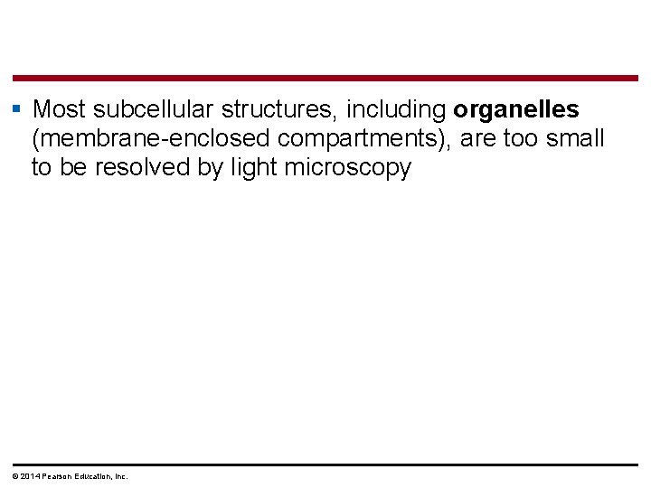§ Most subcellular structures, including organelles (membrane-enclosed compartments), are too small to be resolved