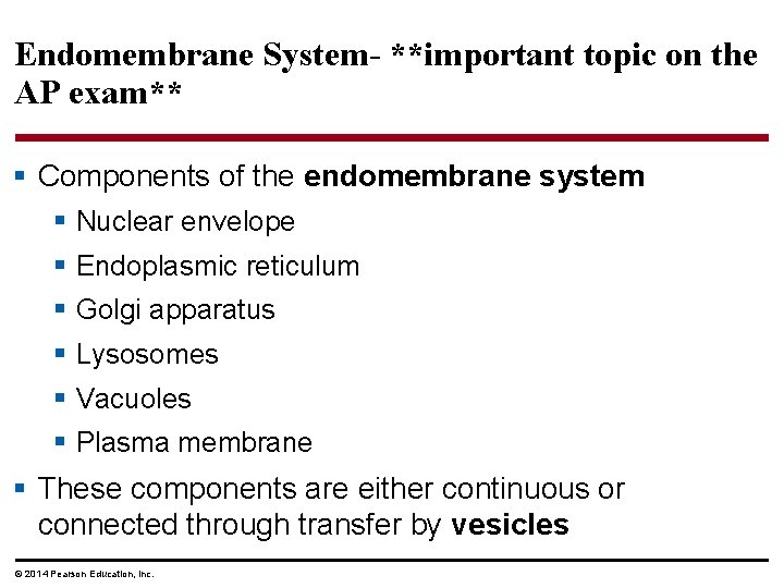 Endomembrane System- **important topic on the AP exam** § Components of the endomembrane system