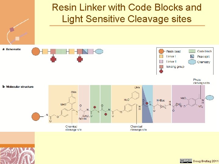 Resin Linker with Code Blocks and Light Sensitive Cleavage sites Doug Brutlag 2011 