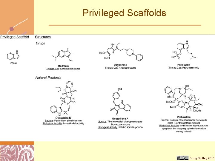 Privileged Scaffolds Doug Brutlag 2011 