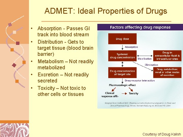 ADMET: Ideal Properties of Drugs • Absorption - Passes GI track into blood stream