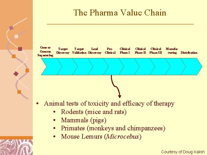 The Pharma Value Chain Gene or Genome Sequencing Target Lead Discovery Validation Discovery Pre.