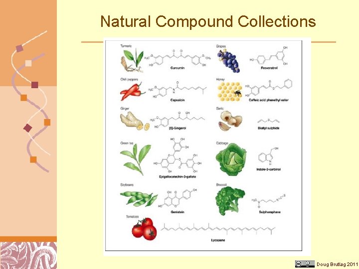 Natural Compound Collections Doug Brutlag 2011 