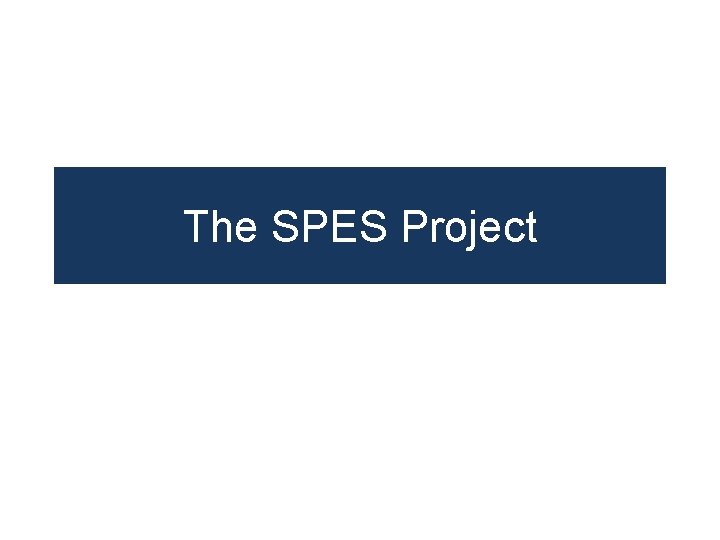 The SPES Project 