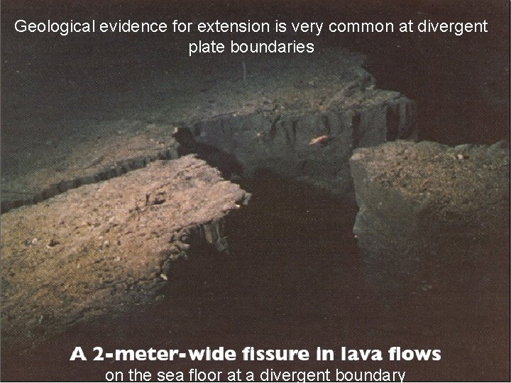 Geological evidence for extension is very common at divergent plate boundaries on the sea
