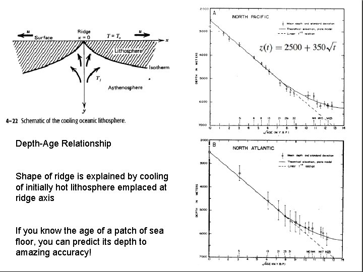 Depth-Age Relationship Shape of ridge is explained by cooling of initially hot lithosphere emplaced