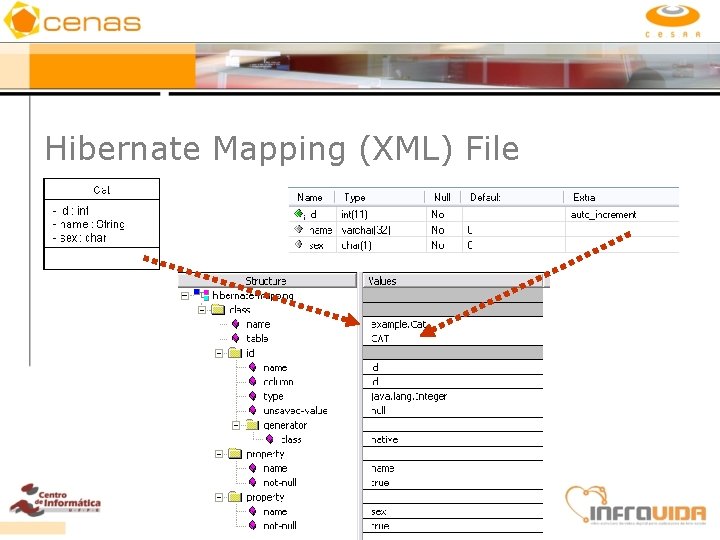 Hibernate Mapping (XML) File 