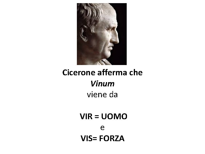 Cicerone afferma che Vinum viene da VIR = UOMO e VIS= FORZA 
