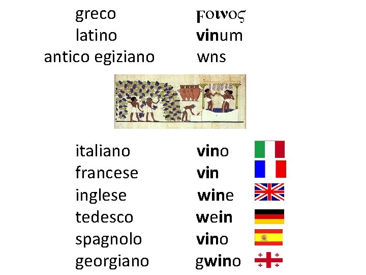 greco ϝοινοϛ latino vinum antico egiziano wns italiano vino francese vin inglese wine tedesco