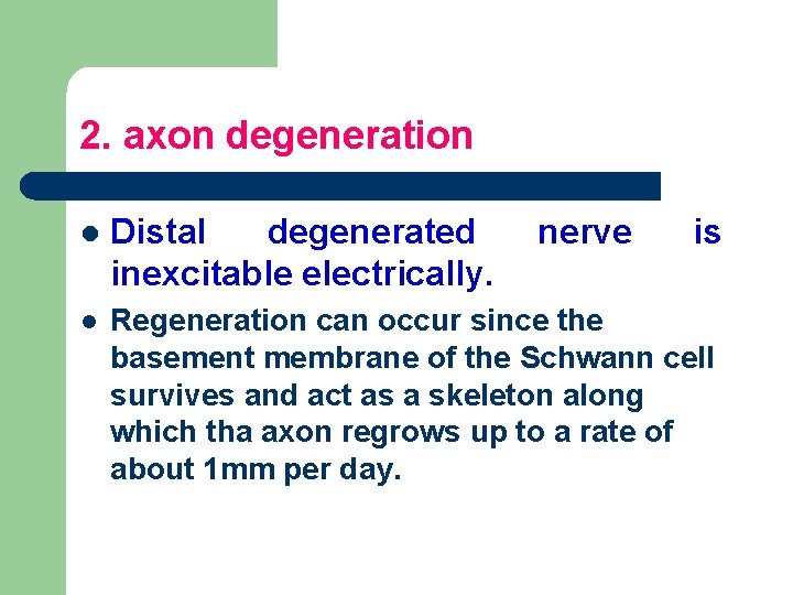 2. axon degeneration l Distal degenerated inexcitable electrically. nerve is l Regeneration can occur