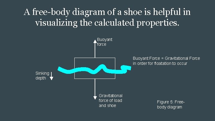 A free-body diagram of a shoe is helpful in visualizing the calculated properties. Buoyant