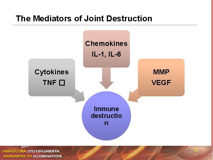 The Mediators of Joint Destruction Chemokines IL-1, IL-6 Cytokines MMP TNF � VEGF Immune