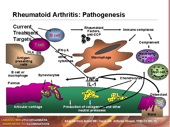 Rheumatoid Arthritis: Pathogenesis Current Treatment Targets Rheumatoid Factors, anti-CCP B cell Immune complexes Complement