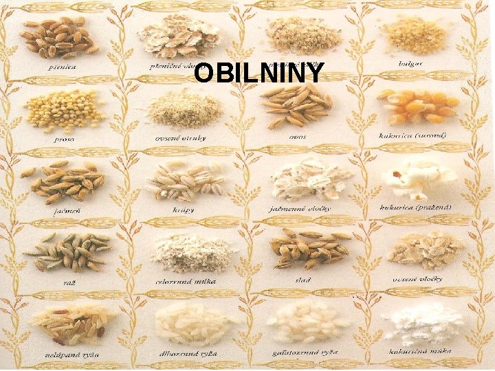 OBILNINY 