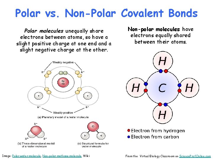 Polar vs. Non-Polar Covalent Bonds Polar molecules unequally share electrons between atoms, so have