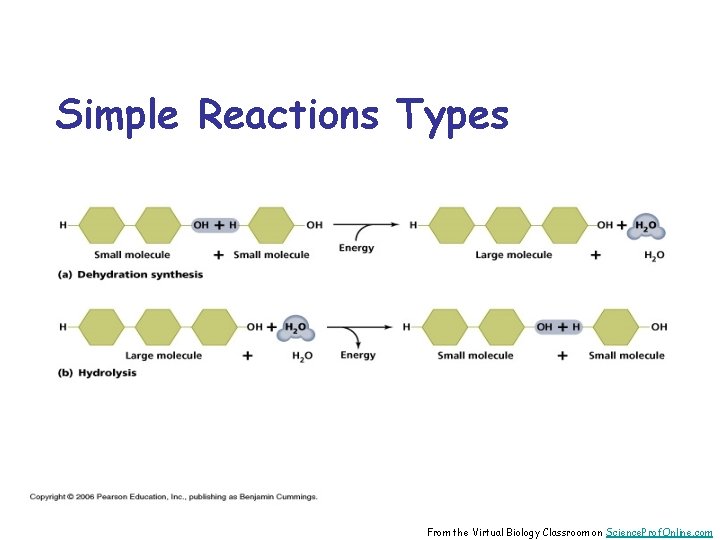 Simple Reactions Types From the Virtual Biology Classroom on Science. Prof. Online. com 