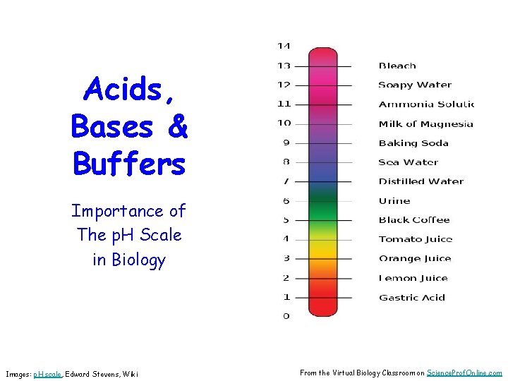 Acids, Bases & Buffers Importance of The p. H Scale in Biology Images: p.