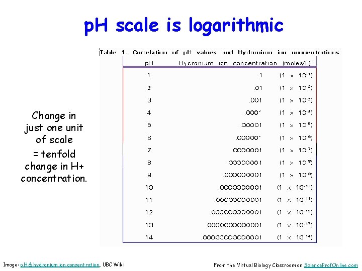 p. H scale is logarithmic Change in just one unit of scale = tenfold