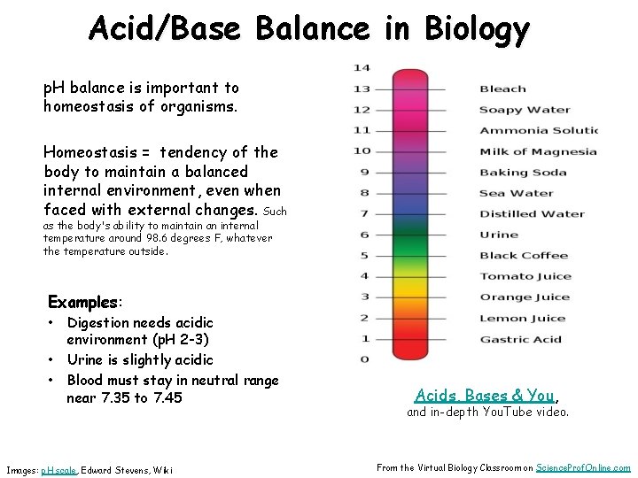 Acid/Base Balance in Biology p. H balance is important to homeostasis of organisms. Homeostasis