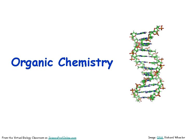 Organic Chemistry From the Virtual Biology Classroom on Science. Prof. Online. com Image: DNA,