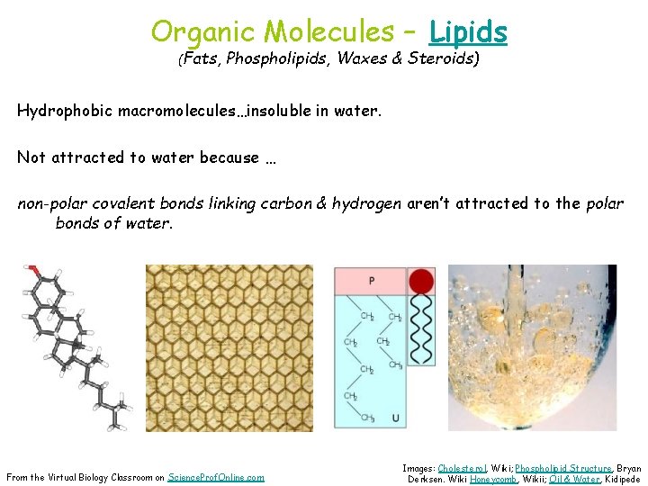 Organic Molecules – Lipids (Fats, Phospholipids, Waxes & Steroids) Hydrophobic macromolecules…insoluble in water. Not