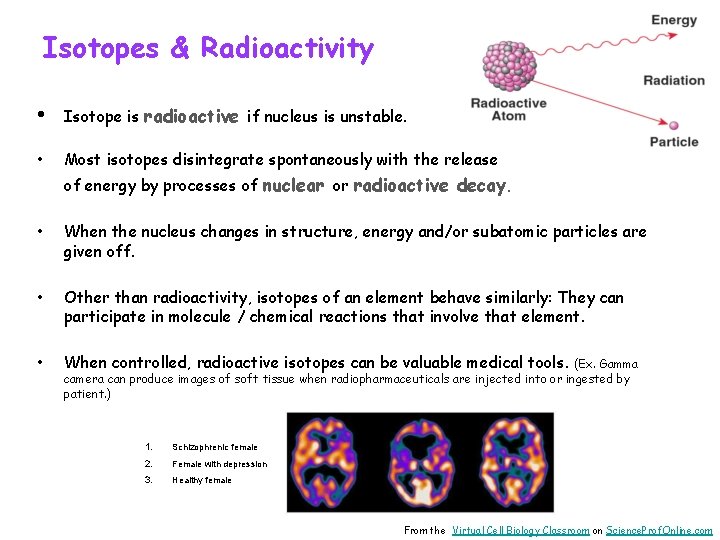 Isotopes & Radioactivity • Isotope is radioactive if nucleus is unstable. • Most isotopes