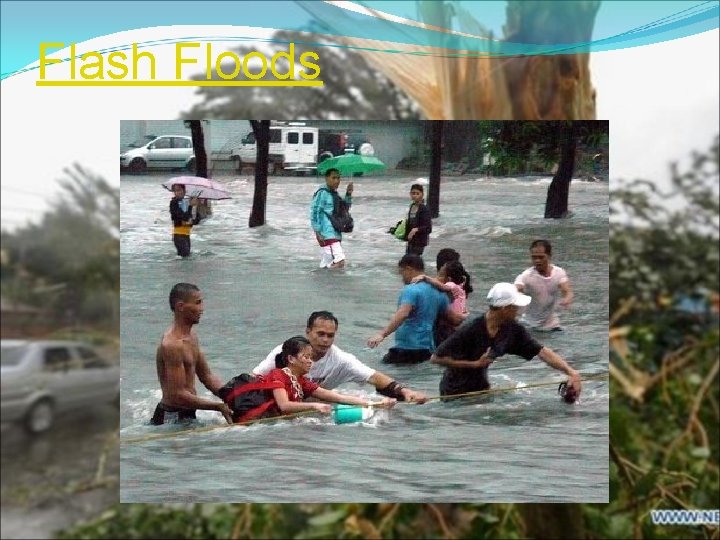 Flash Floods 