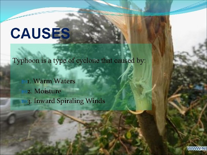 CAUSES Typhoon is a type of cyclone that caused by: 1. Warm Waters 2.