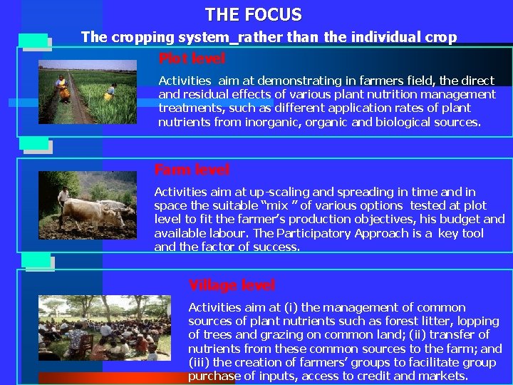 THE FOCUS The cropping system rather than the individual crop Plot level Activities aim